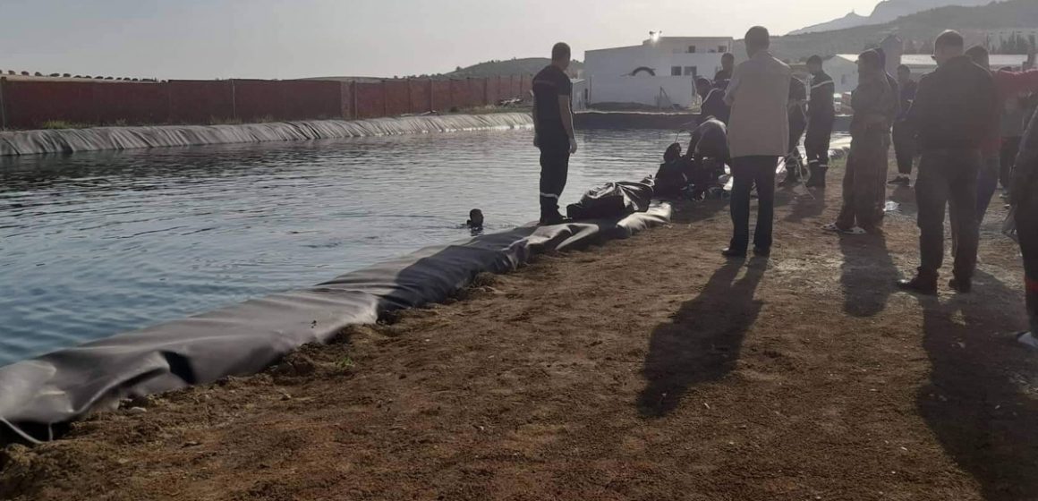 Zaghouan : Un homme meurt noyé en voulant sauver deux chiens, tombés dans un bassin