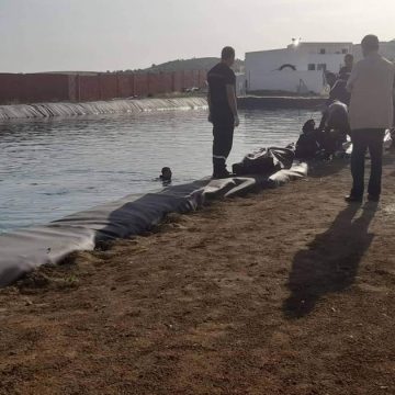 Zaghouan : Un homme meurt noyé en voulant sauver deux chiens, tombés dans un bassin