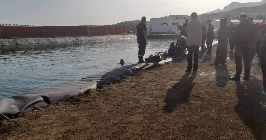 Zaghouan : Un homme meurt noyé en voulant sauver deux chiens, tombés dans un bassin