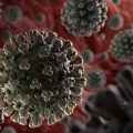 Coronavirus – Tunisie : Très nette amélioration de la situation épidémiologique