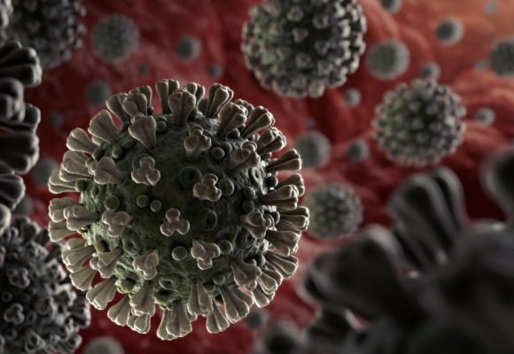 Coronavirus – Tunisie : Très nette amélioration de la situation épidémiologique