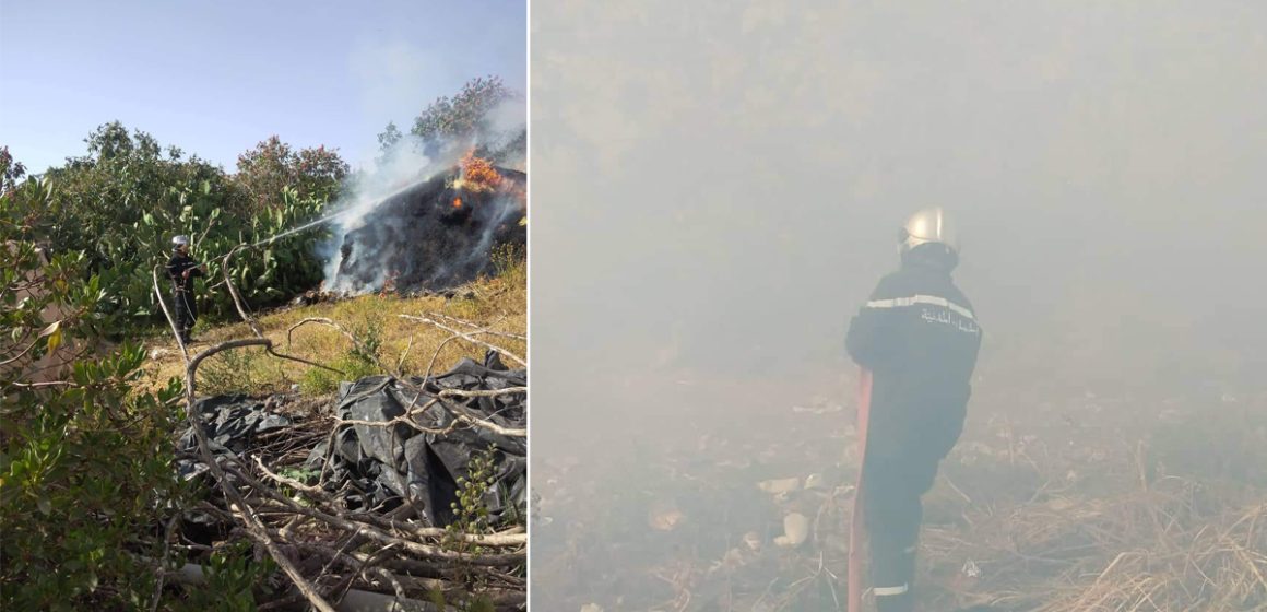 Jendouba : Les pompiers poursuivent leurs efforts pour venir à bout d’un incendie à Bousalem (Photos)