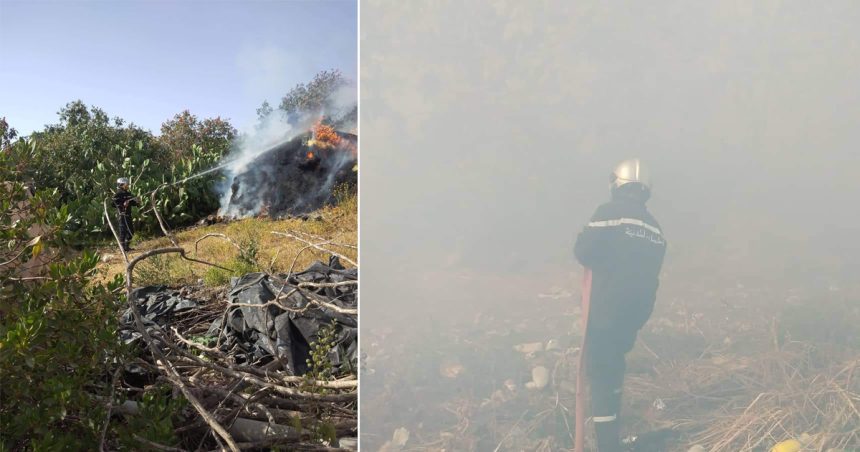 Jendouba : Les pompiers poursuivent leurs efforts pour venir à bout d’un incendie à Bousalem (Photos)