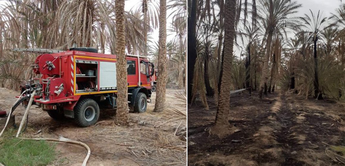 Tunisie : Maîtrise d’un incendie dans une oasis à Kébili