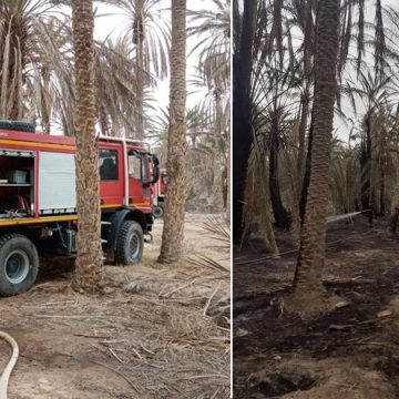 Tunisie : Maîtrise d’un incendie dans une oasis à Kébili