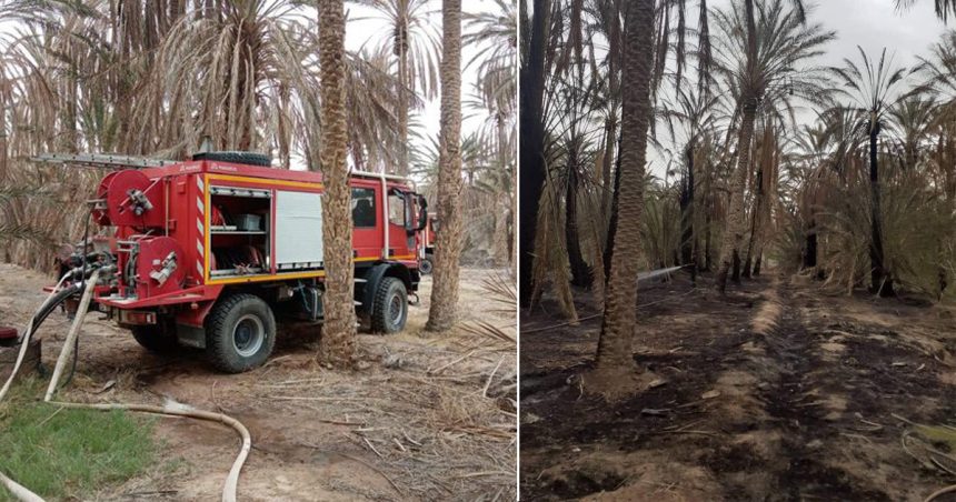 Tunisie : Maîtrise d’un incendie dans une oasis à Kébili