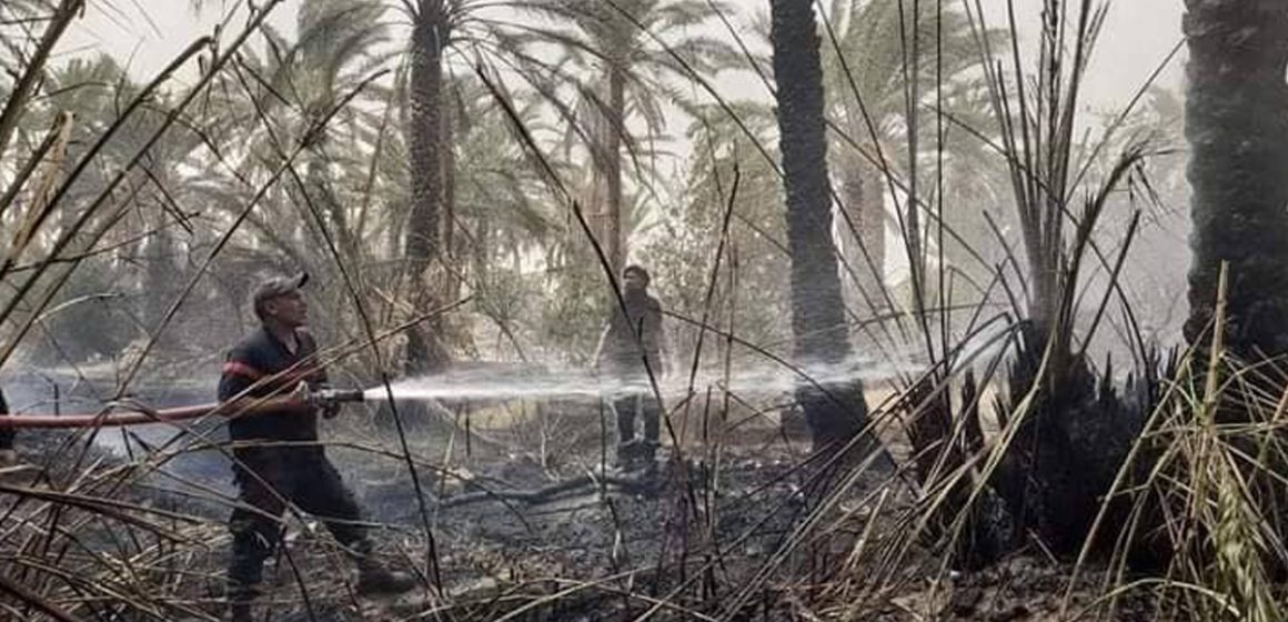 Tunisie : Près de 10 hectares de palmiers ravagés par l’incendie à l’oasis Debdaba à Gabès