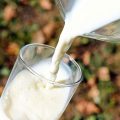Tunisie – Crise du lait : Wassim Boukhris tire la sonnette d’alarme