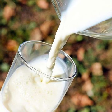 Tunisie : L’Utap réclame une augmentation immédiate du prix du lait