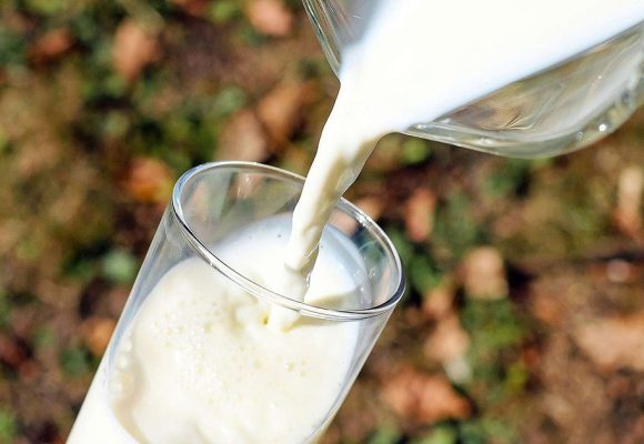 Tunisie – Crise du lait : Wassim Boukhris tire la sonnette d’alarme