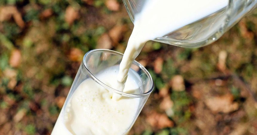 Production de lait : La Tunisie enregistre une baisse quotidienne de plus de 400.000 litres, selon Ali Klebi
