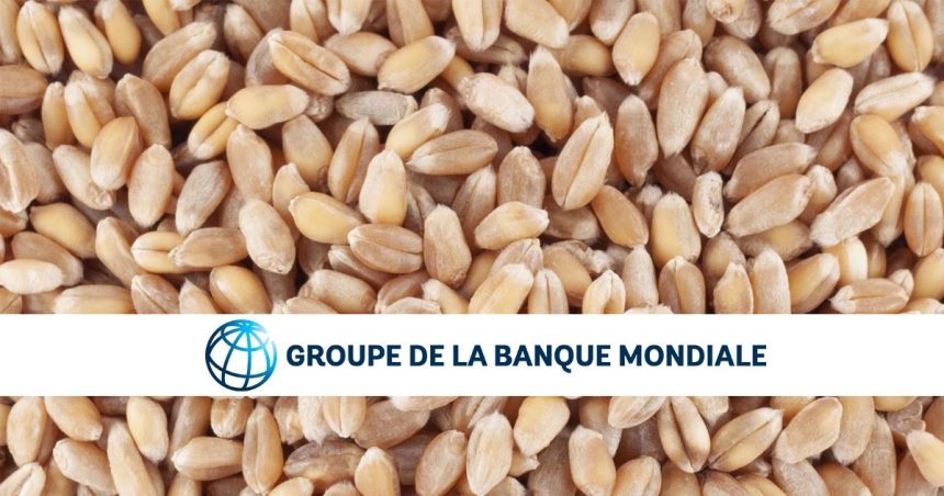 Banque mondiale : 130 M$ à la Tunisie pour financer ses importations de blé