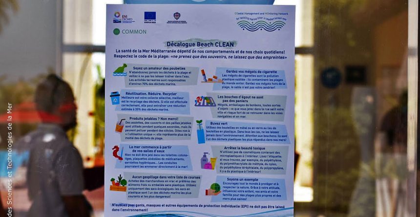 Beach Clean : les usagers des plages au secours de la vie marine