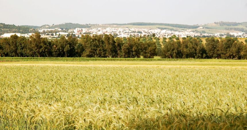 Pour une plateforme de production agricole dans le nord-ouest de la Tunisie