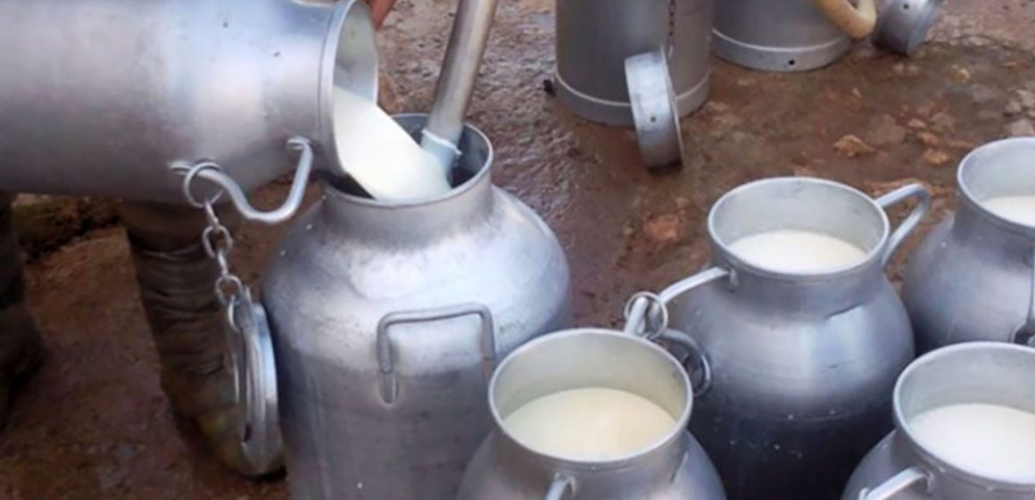 Le Syndicat des agriculteurs de Tunisie réclame une augmentation du prix du lait de 1.700 millimes à la production