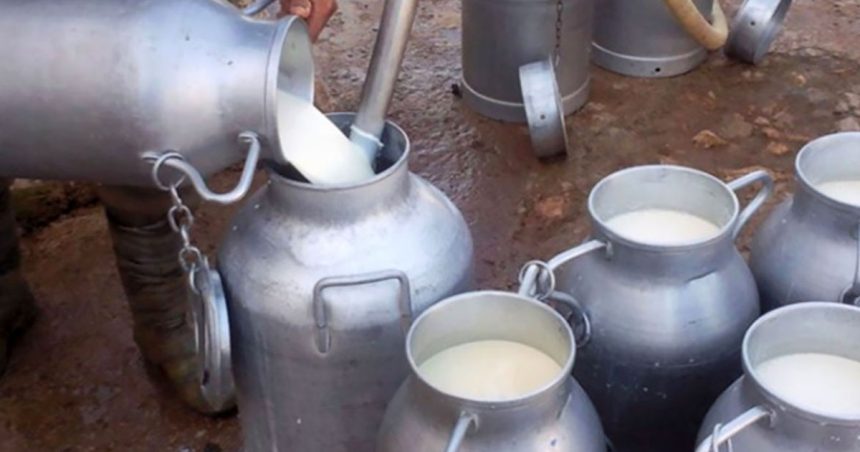 Tunisie : Les éleveurs dénoncent l’importation de lait en poudre