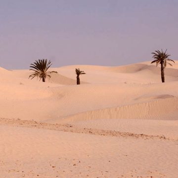 Fréquence des épisodes de sécheresse en Tunisie