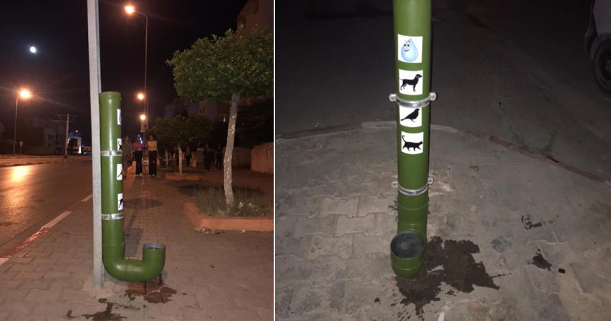 Tunisie : Des distributeurs d’eau pour les chats et les chiens errants installés dans les rues d’El-Mourouj