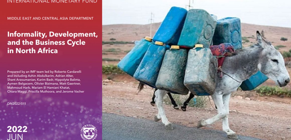 Etude : Informalité, développement, et cycle économique en Tunisie