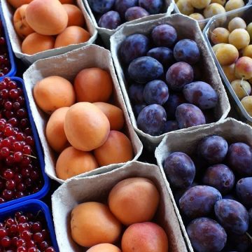 La Tunisie accroît ses exportations de fruits de 25%