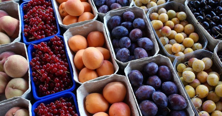 Tunisie : les exportations de fruits en baisse de 30,9%  