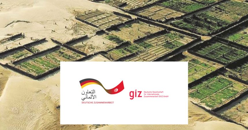 Tunisie : le Concours des co-entrepreneurs sélectionne 10 projets