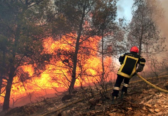 Canicule l Les autorités alertent contre les feux de forêts !