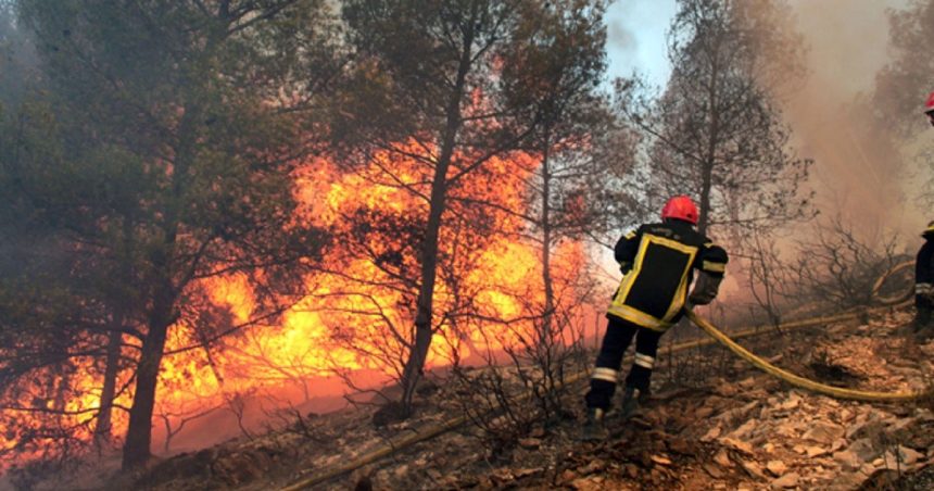 Canicule l Les autorités alertent contre les feux de forêts !