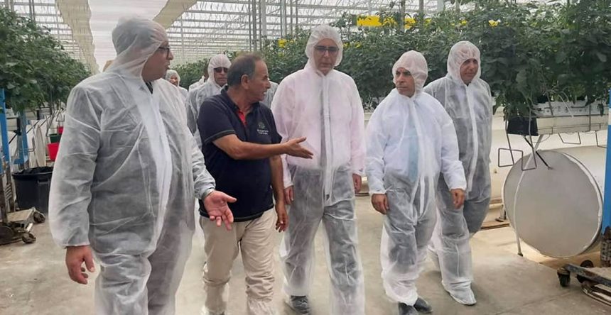 Partenariat tuniso-néerlandais pour la production de primeurs sous serres