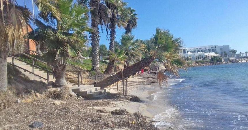 Aere Hammamet lance l’expo virtuelle «Sauvons la Méditerranée»