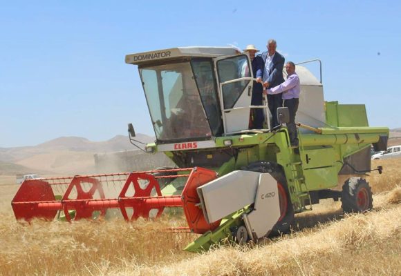 La Tunisie face à la flambée des prix de blé