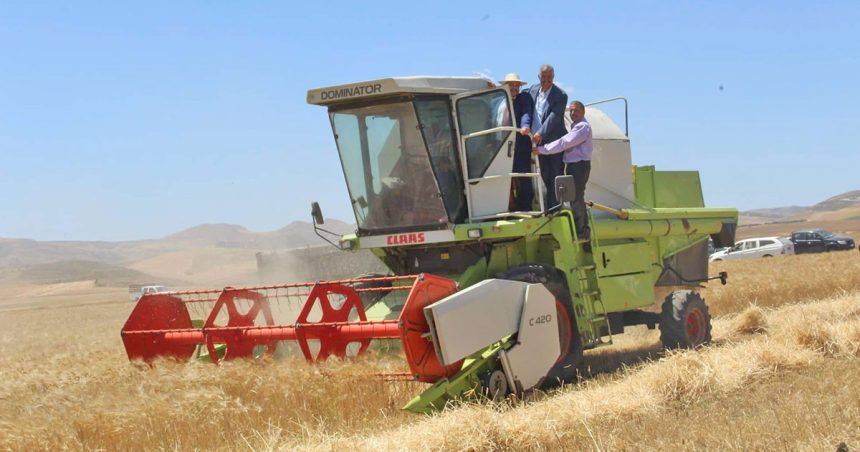 La Tunisie atteindra l’autosuffisance en céréales à partir de 2023