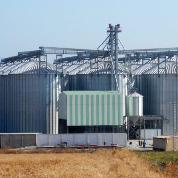 La Tunisie va continuer à importer du blé tendre et de l’orge