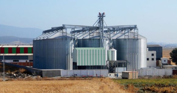 Importations tunisiennes de blé et marchés agricoles mondiaux