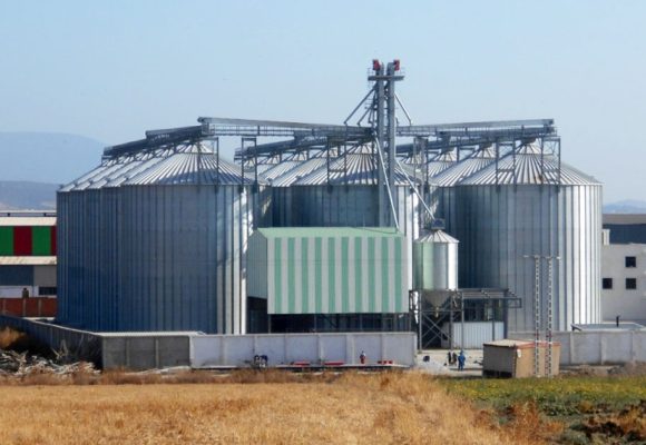 La Tunisie va importer des céréales pour un montant de 1,5 milliard de dinars