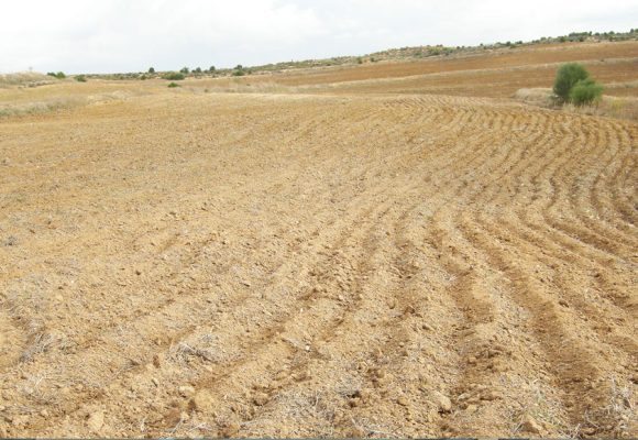 Tunisie : réhabilitation de 15 000 hectares de terres agricoles d’ici 2024