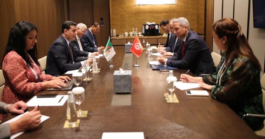 Tunisie-Algérie : des pistes pour impulser la coopération touristique