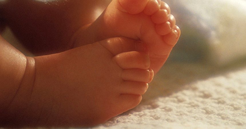 L’Ordre des pharmaciens solidaire avec les condamnés dans l’affaire des bébés de la Rabta