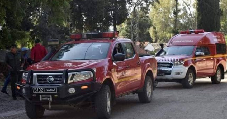 Jendouba : Une bergère et ses moutons meurent percutés par un train à Ghardimaou