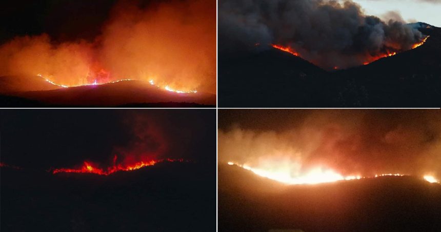 Tunisie : Les efforts se poursuivent pour maîtriser l’incendie de Jebel Boukornine