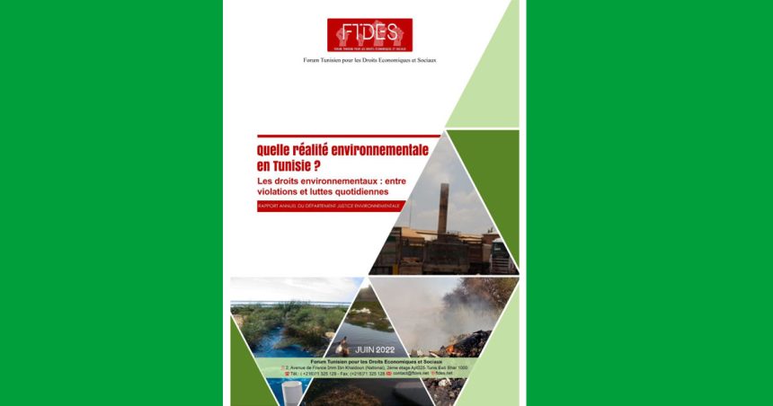 Tunisie : les violations environnementales sont quotidiennes