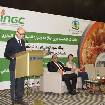 La Tunisie lance un programme de promotion de la filière céréalière