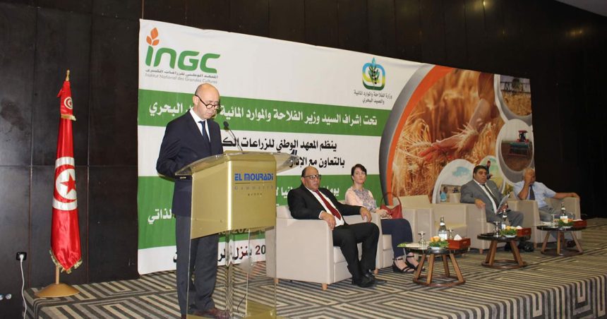La Tunisie lance un programme de promotion de la filière céréalière