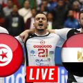 Tunisie vs Egypte Handball en live streaming : CAN 2022