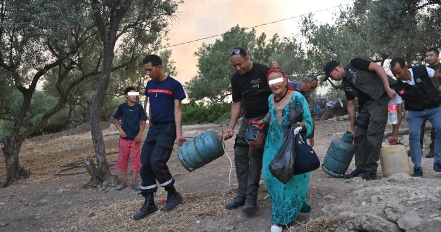 Incendie à Jebel Bargou : Les habitants de Douar Aïn El-Nachm évacués (Photos)
