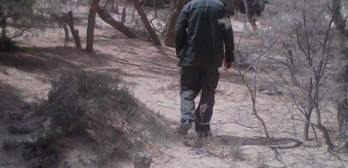 Tunisie : Un garde forestier blessé dans l’explosion d’une mine à Jebel Chaambi