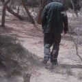 Tunisie : Un garde forestier blessé dans l’explosion d’une mine à Jebel Chaambi