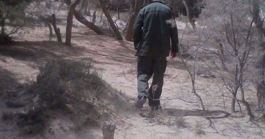 Siliana : Un garde forestier blessé par balle par un chasseur illégal