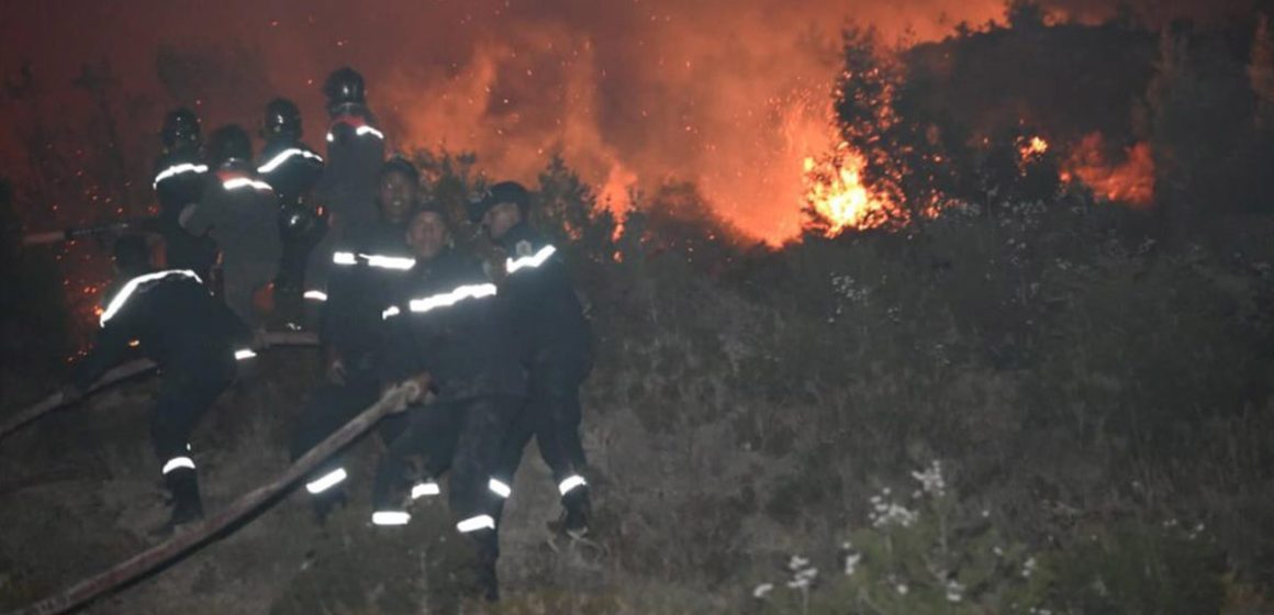 Tunisie : 3.000 ha de forêt incendiés du 1er juin au 26 juillet 