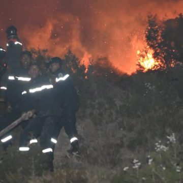 Tunisie : 3.000 ha de forêt incendiés du 1er juin au 26 juillet 